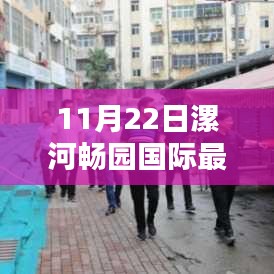 漯河暢園國際最新動態深度解析，11月22日消息速遞