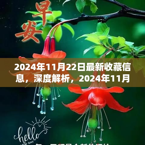 深度解析，2024年收藏信息產品特性與使用體驗
