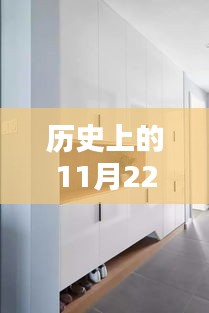 歷史上的11月22日入戶鞋柜新風尚，深度評測最新款式，引領潮流新風尚