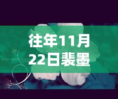 溫馨的十一月記憶，裴墨林的荼蘼時(shí)光最新章節(jié)發(fā)布