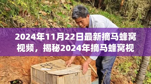 揭秘，2024年摘馬蜂窩視頻背后的故事與時代印記實錄首曝光