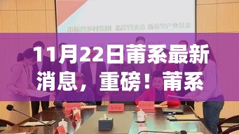 揭秘莆系最新動態，11月22日重磅消息一覽
