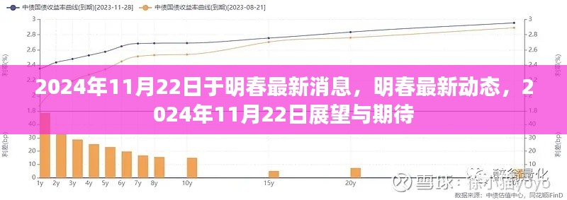 2024年11月22日明春最新動(dòng)態(tài)與展望，未來(lái)期待與揭秘