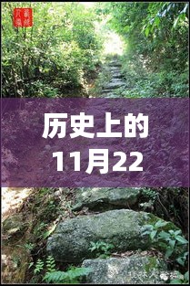 探尋前胡價格的歷史之旅，自然美景與奇妙記憶的碰撞點（日期，歷史上的11月22日）