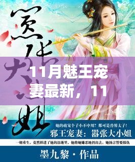 11月魅王寵妻最新，全面評測與深度介紹