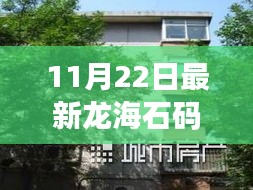 龍海石碼地區(qū)最新房源出租信息詳解，優(yōu)質(zhì)住宅全面解讀