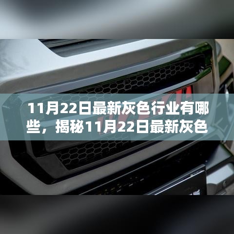 揭秘未知商業(yè)領域，最新灰色行業(yè)趨勢與商業(yè)機遇（11月22日更新）