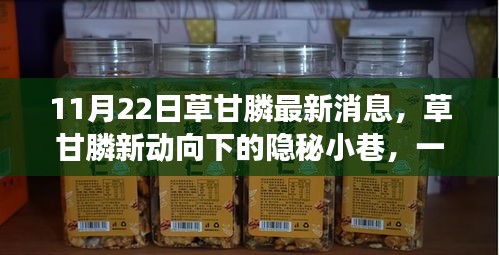 草甘膦新動(dòng)向揭秘，特色小店的奇妙之旅