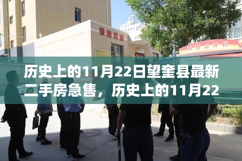 歷史上的11月22日望奎縣二手房市場急售動態揭秘