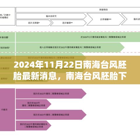 南海臺風胚胎最新消息，不期而遇的陪伴之旅