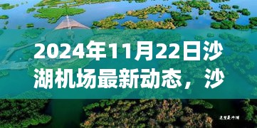 沙湖機場最新動態及未來展望，觀點分析與展望（2024年11月22日）