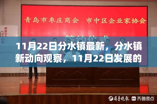 分水鎮最新動向觀察，雙刃劍效應分析與發展趨勢探討