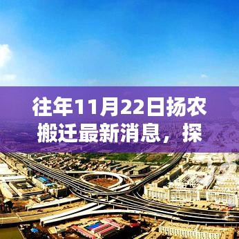 往年11月22日揚農搬遷最新消息，探秘小巷深處的獨特風味——記一家隱藏版特色小店的揚農搬遷新篇章