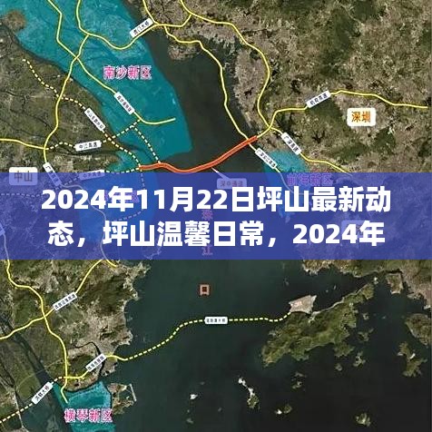 坪山溫馨日常，2024年11月22日的歡樂時光