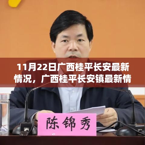 廣西桂平長安鎮最新動態，11月22日全方位指南詳解