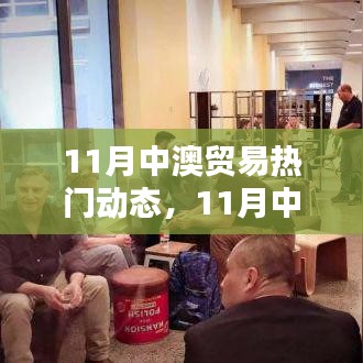 涉政熱議，深度解析11月中澳貿易動態與趨勢展望