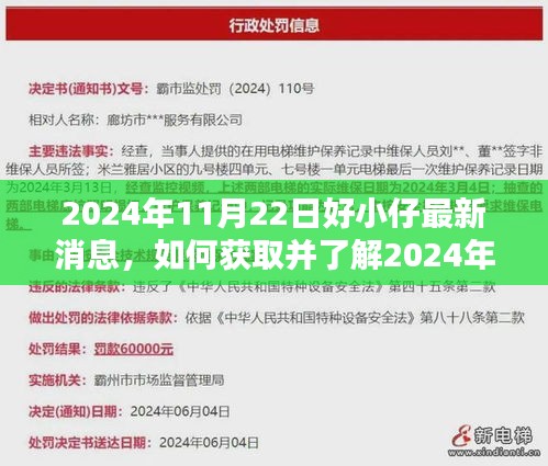 2024年11月22日好小仔最新消息全解析，獲取與了解詳細步驟指南
