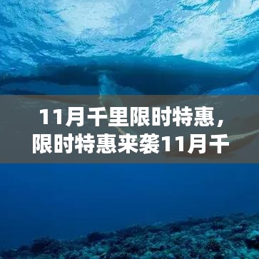 11月千里特惠活動火熱開啟，三大亮點，限時特惠不容錯過！