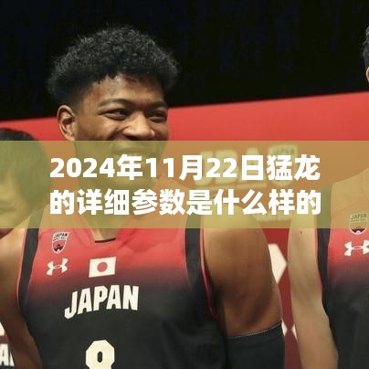 揭秘未來猛龍參數，2024年11月22日猛龍詳細參數解析與獲取指南（初學者與進階用戶必讀）
