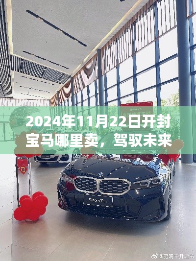 2024年11月22日開封寶馬哪里賣，駕馭未來的寶馬，學(xué)習(xí)變化，自信閃耀，開封之旅啟程