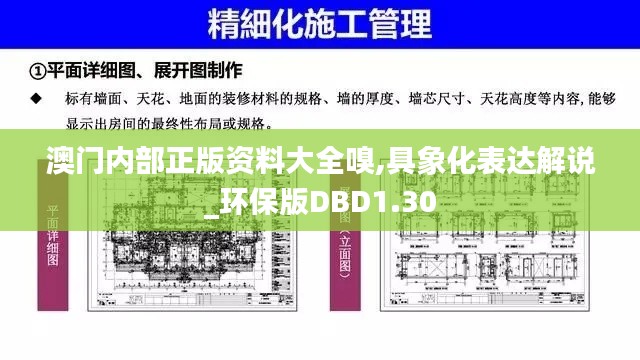 澳門內部正版資料大全嗅,具象化表達解說_環保版DBD1.30