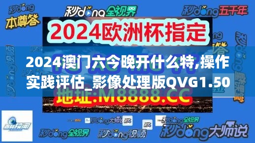 2024澳門六今晚開什么特,操作實踐評估_影像處理版QVG1.50