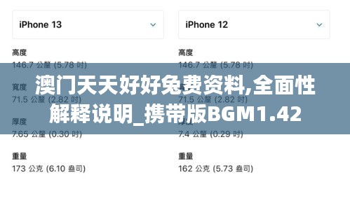 澳門天天好好兔費資料,全面性解釋說明_攜帶版BGM1.42