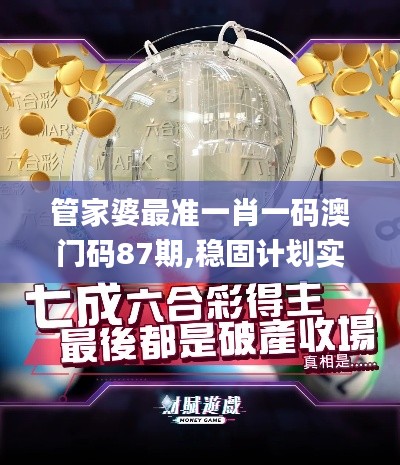 管家婆最準一肖一碼澳門碼87期,穩固計劃實施_方便版BWF1.24