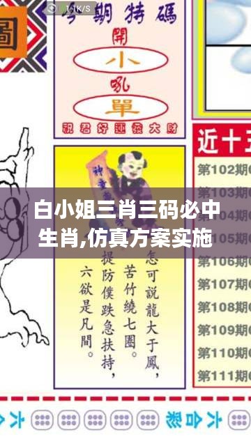 白小姐三肖三碼必中生肖,仿真方案實施_開放版YDP1.7