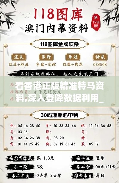 看香港正版精準特馬資料,深入登降數據利用_演講版JNG1.27
