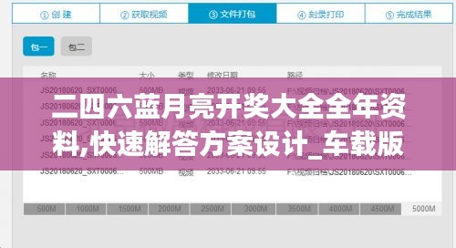 二四六藍月亮開獎大全全年資料,快速解答方案設計_車載版TNA1.41