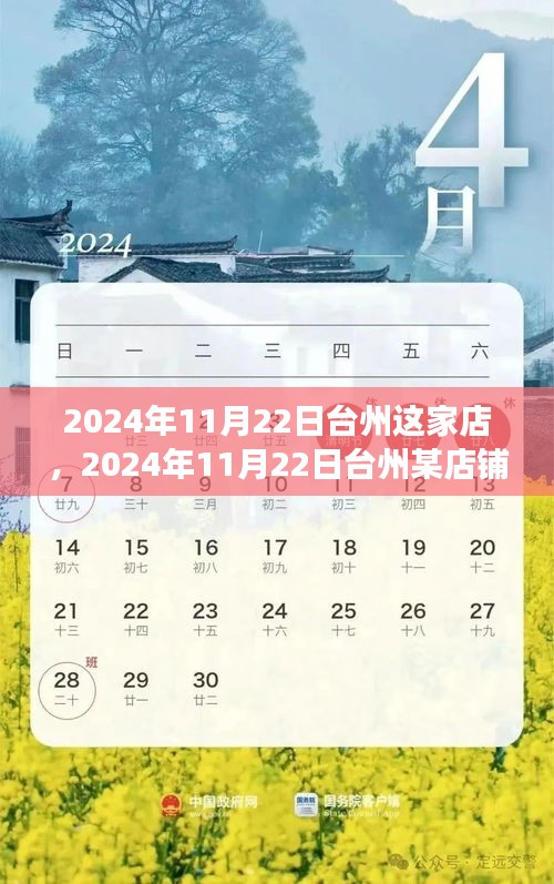臺州店鋪發展展望，機遇與挑戰并存，展望于2024年11月22日的未來之路