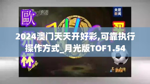 2024澳門天天開好彩,可靠執行操作方式_月光版TOF1.54