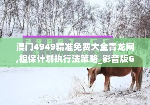 澳門4949精準免費大全青龍網,擔保計劃執行法策略_影音版GRS1.28