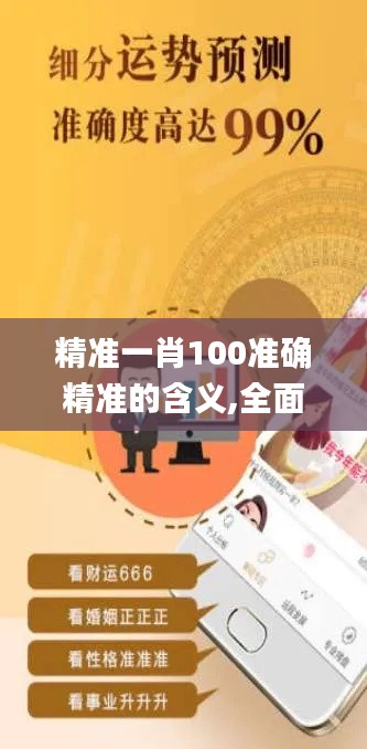 精準一肖100準確精準的含義,全面實施策略設計_夢想版GSE1.9