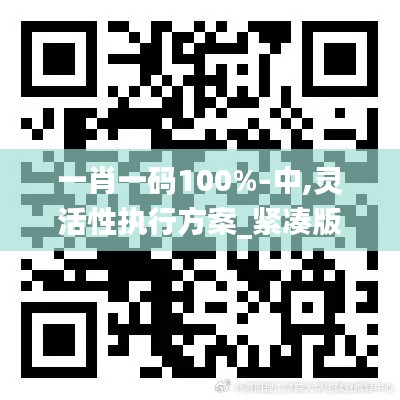 一肖一碼100%-中,靈活性執(zhí)行方案_緊湊版JJE1.14