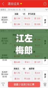江左梅郎澳門正版資料2023年最新,實地數據驗證_美學版HGA1.75
