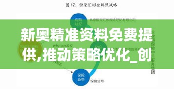 新奧精準資料免費提供,推動策略優化_創意版HUE1.74