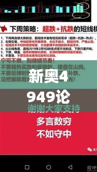 新奧4949論壇高手,快速解決方式指南_親和版ZGC1.91