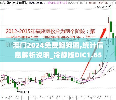 澳門2024免費跑狗圖,統計信息解析說明_冷靜版DIC1.65