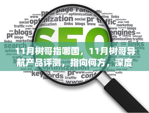 深度解讀，樹哥導航產品特性與體驗，揭秘其指向何方——11月導航評測