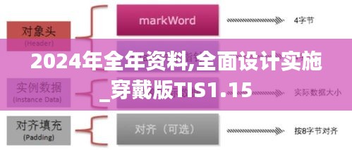 2024年全年資料,全面設計實施_穿戴版TIS1.15