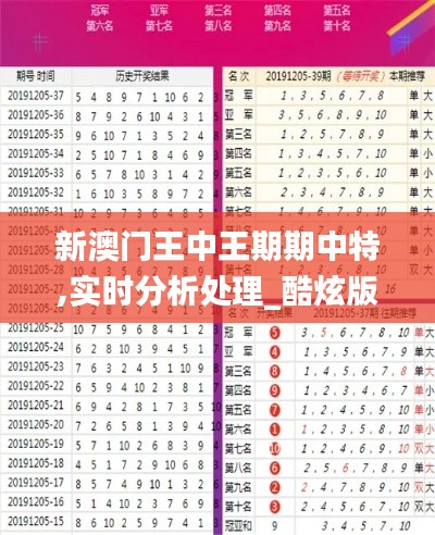 新澳門王中王期期中特,實時分析處理_酷炫版IDE1.39