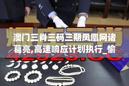 澳門三肖三碼三期鳳凰網諸葛亮,高速響應計劃執行_愉悅版NBI1.96