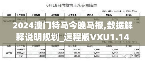 2024澳門特馬今晚馬報,數據解釋說明規(guī)劃_遠程版VXU1.14