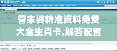 管家婆精準資料免費大全生肖卡,解答配置方案_快捷版IKR1.56