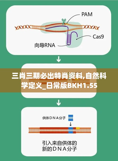 三肖三期必出特肖資料,自然科學定義_日常版BKH1.55