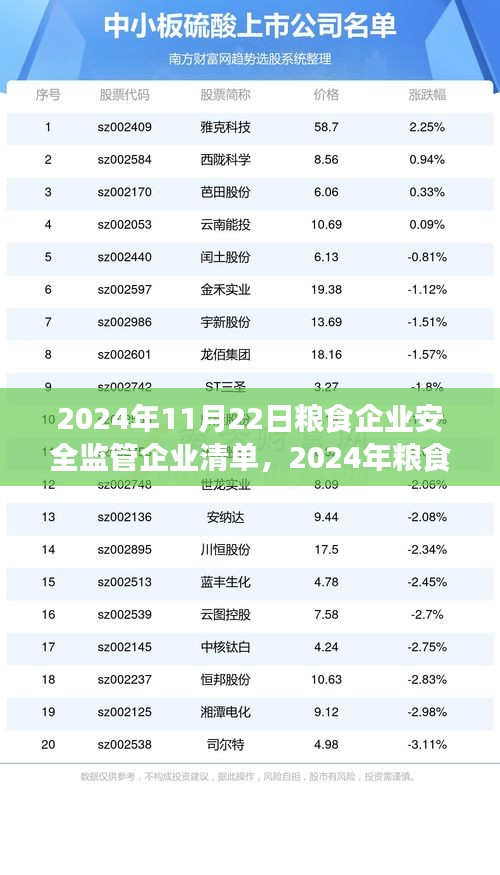 糧食企業安全監管企業清單實操指南，從入門到精通（附2024年糧食企業安全監管企業清單）