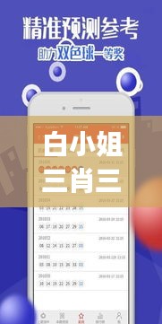 白小姐三肖三期必出一期開獎虎年,標準執行具體評價_方便版CAN1.96