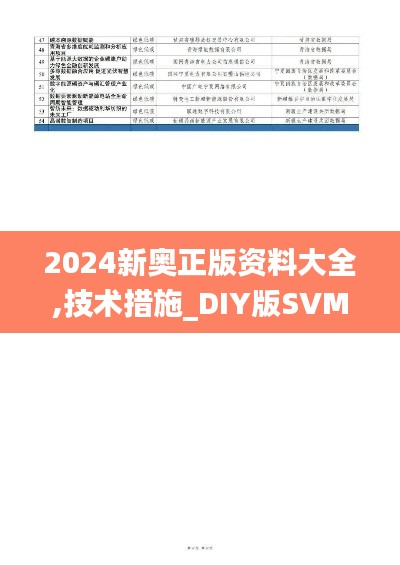 2024新奧正版資料大全,技術措施_DIY版SVM1.12